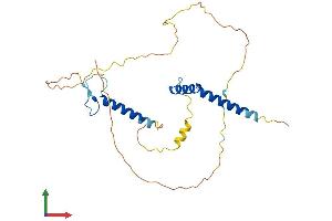AlphaFold protein structure predicition of Human Recombinant RFXAP Protein, UniprotID O00287 (RFXAP Protein (AA 1-272) (His tag))