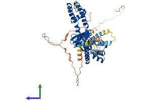 AlphaFold protein structure predicition of Mouse Recombinant Kcna2 Protein, UniprotID P63141