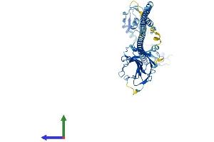 Protein Structure (PS) image for Tripartite Motif Containing 38 (TRIM38) (AA 1-465) protein (His tag) (ABIN7544588)