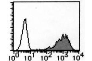 Flow Cytometry (FACS) image for anti-Solute Carrier Family 3 (Activators of Dibasic and Neutral Amino Acid Transport), Member 2 (SLC3A2) antibody (ABIN1449273) (SLC3A2 antibody)
