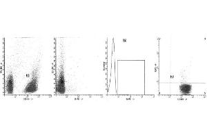Image no. 1 for anti-Interleukin 10 (IL10) antibody (FITC) (ABIN1107780) (IL-10 antibody  (FITC))