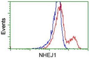 HEK293T cells transfected with either RC203393 overexpress plasmid (Red) or empty vector control plasmid (Blue) were immunostained by anti-NHEJ1 antibody (ABIN2453925), and then analyzed by flow cytometry. (NHEJ1 antibody)