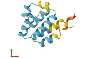 AlphaFold protein structure predicition of Human Recombinant PYDC2 Protein, UniprotID Q56P42 (Pyrin Domain Containing 2 (PYDC2) (AA 1-97) protein (His tag))