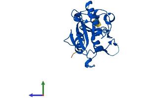 Protein Structure (PS) image for WDYHV Motif Containing 1 (WDYHV1) (AA 1-209) protein (His tag) (ABIN7558388)