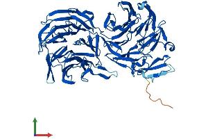 Protein Structure (PS) image for Echinoderm Microtubule Associated Protein Like 2 (EML2) (AA 1-649) protein (His tag) (ABIN7558233)