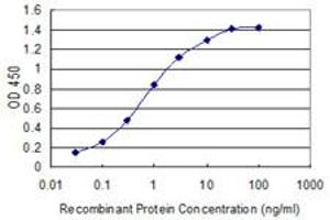 Detection limit for recombinant GST tagged IGKC is 0. (IGKC antibody  (AA 1-236))