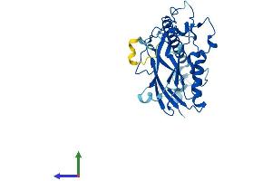 AlphaFold protein structure predicition of Human Recombinant ATP1B1 Protein, UniprotID P05026 (ATP1B1 Protein (AA 1-303) (His tag))