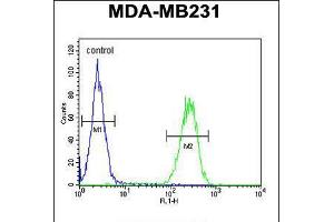 Flow cytometric analysis of MDA-MB231 cells (right histogram) compared to a negative control cell (left histogram). (PRSS3 antibody  (N-Term))