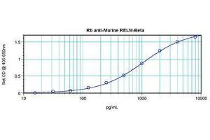 Image no. 5 for anti-Resistin Like beta (RETNLB) antibody (ABIN465495) (RETNLB antibody)