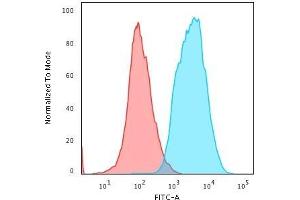 Flow Cytometric Analysis of human HeLa cells. (KRT antibody)