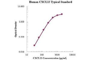 ELISA image for Chemokine (C-X-C Motif) Ligand 13 (CXCL13) ELISA Kit (ABIN3198520) (CXCL13 ELISA Kit)