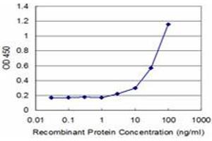 Detection limit for recombinant GST tagged FH is approximately 3ng/ml as a capture antibody. (FH antibody  (AA 33-510))