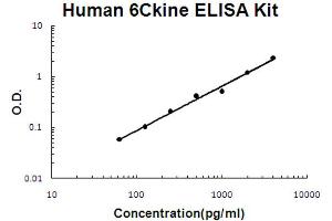 Human CCL21/6Ckine Accusignal ELISA Kit Human CCL21/6Ckine AccuSignal ELISA Kit standard curve. (CCL21 ELISA Kit)
