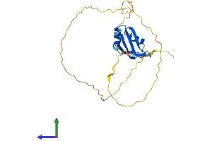 Protein Structure (PS) image for RNA Binding Motif Protein 38 (RBM38) (AA 1-239) protein (His tag) (ABIN7551239)