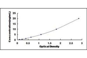 Typical standard curve (GRB10 ELISA Kit)