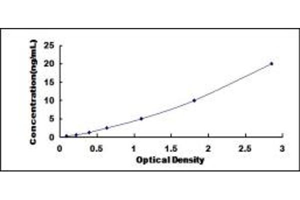 GRB10 ELISA Kit