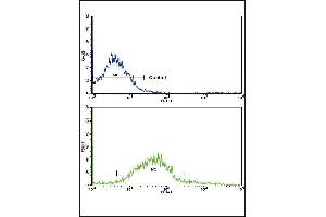 Flow cytometric analysis of K562 cells using ADH5 Antibody (Center)(bottom histogram) compared to a negative control cell (top histogram). (ADH5 antibody  (AA 212-239))