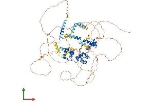 AlphaFold protein structure predicition of Mouse Recombinant Mybl1 Protein, UniprotID P51960