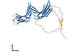 AlphaFold protein structure predicition of Human Recombinant TXNIP Protein, UniprotID Q9H3M7 (TXNIP Protein (AA 1-391) (His tag))