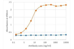 Binding curve of anti-PDL2 antibody TY25 (ABIN7072432) to mouse PDL2-Fc fusion protein ELISA Plate coated with mouse PDL2-Fc fusion protein (Pr00156-1. (Recombinant PDCD1LG2 antibody)