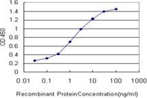 Detection limit for recombinant GST tagged CDK3 is approximately 0. (CDK3 antibody  (AA 206-305))
