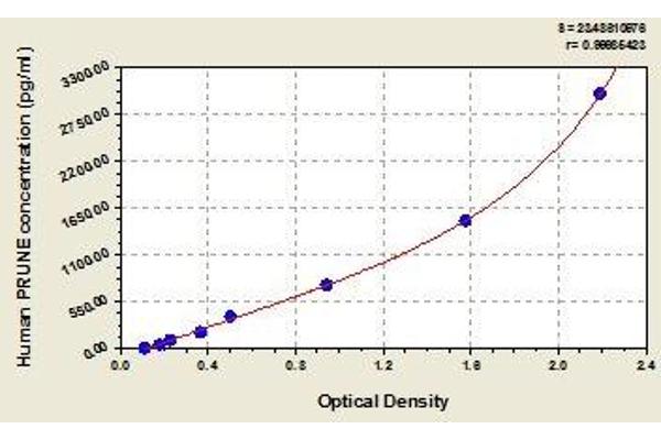 PRUNE ELISA Kit