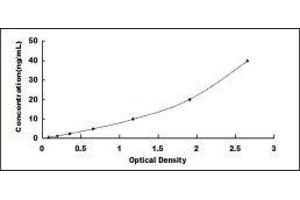 Typical standard curve (Major Basic Protein ELISA Kit)