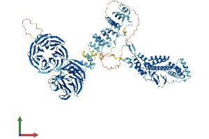 Protein Structure (PS) image for Coatomer Protein Complex, Subunit alpha (COPA) (AA 1-1224) protein (His tag) (ABIN7564591)
