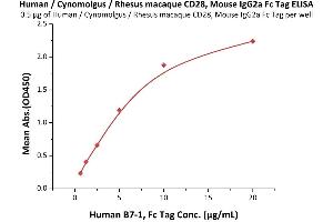 ELISA image for CD28 (CD28) (AA 19-152) (Active) protein (Fc Tag) (ABIN6253669)