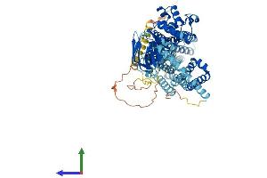 AlphaFold protein structure predicition of Mouse Recombinant Abcd1 Protein, UniprotID P48410 (ABCD1 Protein (AA 1-736) (His tag))