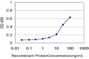 Detection limit for recombinant GST tagged ZFP36L1 is approximately 1ng/ml as a capture antibody. (ZFP36L1 antibody  (AA 1-108))