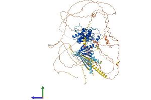 AlphaFold protein structure predicition of Human Recombinant EPB41L3 Protein, UniprotID Q9Y2J2