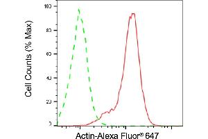 Flow cytometric analysis of Actin expression in HepG2 cells using Actin antibody (ABIN7797469), 1:2,000).