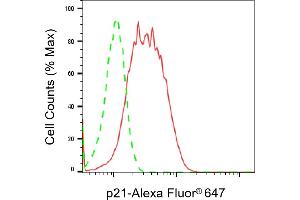 Flow cytometric analysis of p21 expression in HT- cells using p21 antibody (ABIN7798222), 1:2,000). (Recombinant p21 antibody)