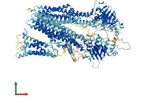 Protein Structure (PS) image for ATP-Binding Cassette, Sub-Family C (CFTR/MRP), Member 1 (ABCC1) (AA 1-1528) protein (His tag) (ABIN7562308)