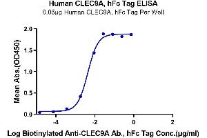 Immobilized Human CLEC9A, hFc Tag at 0. (CLEC9A Protein (AA 57-241) (Fc Tag))