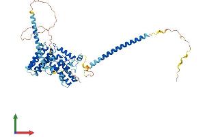 Protein Structure (PS) image for RAB Guanine Nucleotide Exchange Factor (GEF) 1 (RABGEF1) (AA 1-491) protein (His tag) (ABIN7561689)