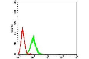 Flow cytometric analysis of K562 cells using CD339 mouse mAb (green) and negative control (red). (JAG1 antibody  (AA 47-212))