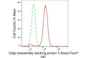 Flow cytometric analysis of Golgi reassembly stacking protein 1 expression in HeLa cells using Golgi reassembly stacking protein 1 antibody (ABIN7798795), 1:2,000).