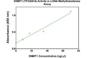 Bioactivity measured with Activity Assay (DNMT1 Protein (Transcript Variant 1) (Myc-DYKDDDDK Tag))