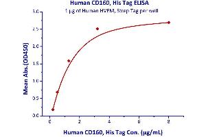 Immobilized Human HVEM, Strep Tag  with a linear range of 0. (CD160 Protein (CD160) (AA 27-159) (His tag))