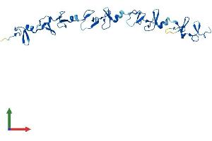 AlphaFold protein structure predicition of Human Recombinant FHL2 Protein, UniprotID Q14192 (FHL2 Protein (AA 1-279) (His tag))