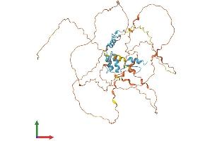 AlphaFold protein structure predicition of Human Recombinant KLF4 Protein, UniprotID O43474 (KLF4 Protein (AA 1-513) (His tag))