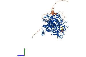 Protein Structure (PS) image for SET Domain Containing 3 (SETD3) (AA 1-594) protein (His tag) (ABIN7546079)