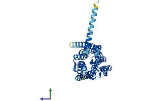 AlphaFold protein structure predicition of Mouse Recombinant Adora3 Protein, UniprotID Q61618 (Adenosine A3 Receptor Protein (ADORA3) (AA 1-319) (His tag))