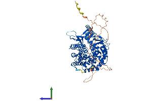 AlphaFold protein structure predicition of Mouse Recombinant Man1b1 Protein, UniprotID A2AJ15