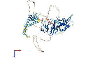 AlphaFold protein structure predicition of Human Recombinant KAT7 Protein, UniprotID O95251 (MYST2 Protein (AA 1-611) (His tag))