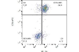Flow cytometry analysis (intracellular staining) of human peripheral blood using anti-SIT (clone SIT-01) PE. (SIT1 antibody  (PE))