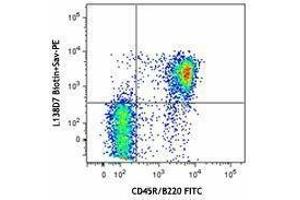 Flow Cytometry (FACS) image for anti-Chemokine (C-X-C Motif) Receptor 5 (CXCR5) antibody (Biotin) (ABIN2660750) (CXCR5 antibody  (Biotin))