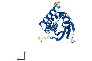 Protein Structure (PS) image for Trafficking Protein Particle Complex 3 (TRAPPC3) (AA 1-180) protein (His tag) (ABIN7544580)